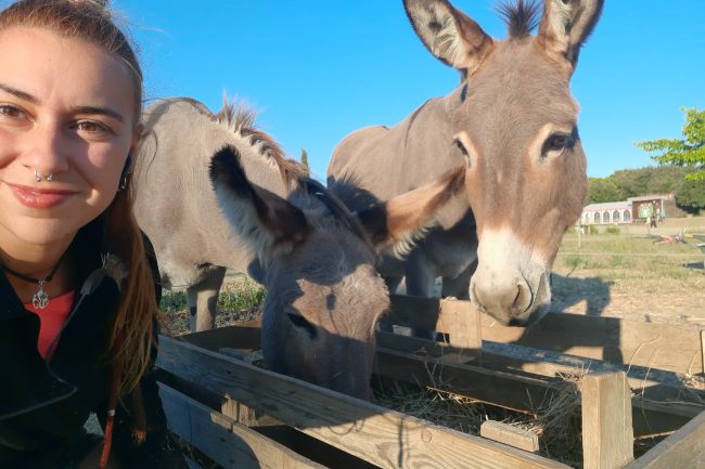 voluntariado Francia Mery