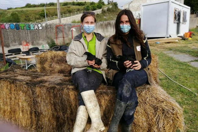 voluntariado Julia