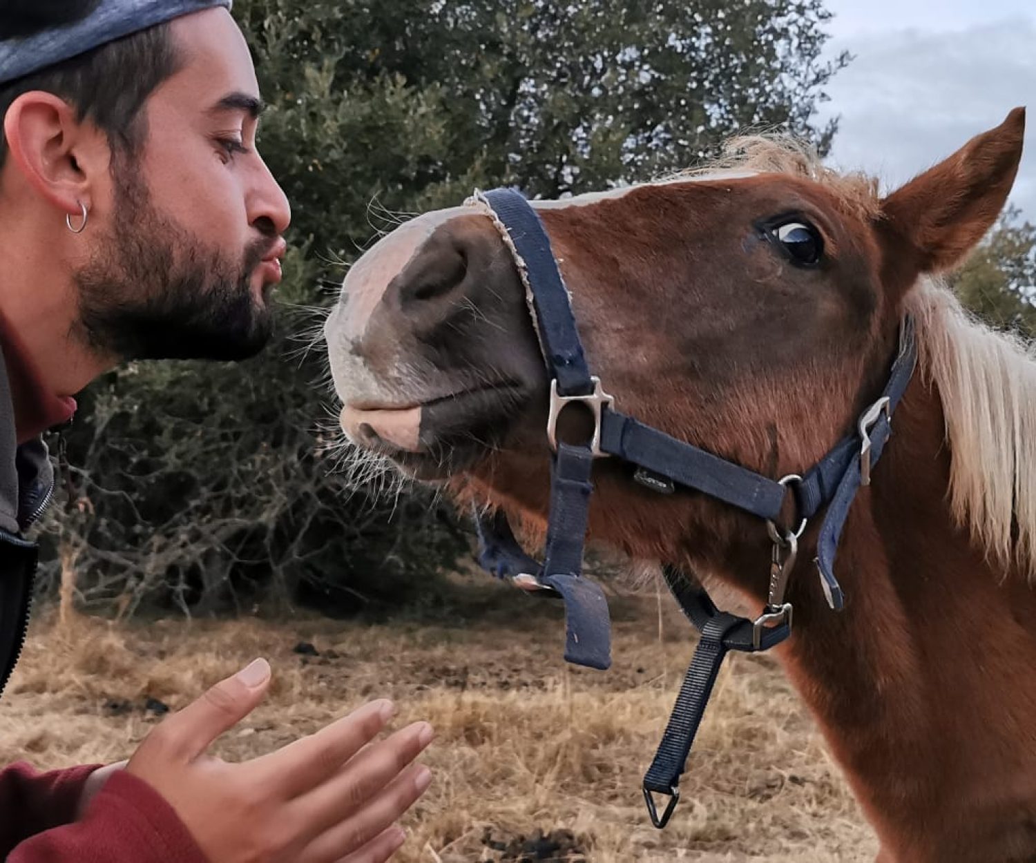 voluntariado gabriele villasur