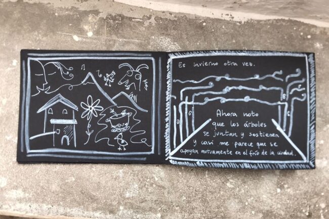 franzine vol 1 proyectos